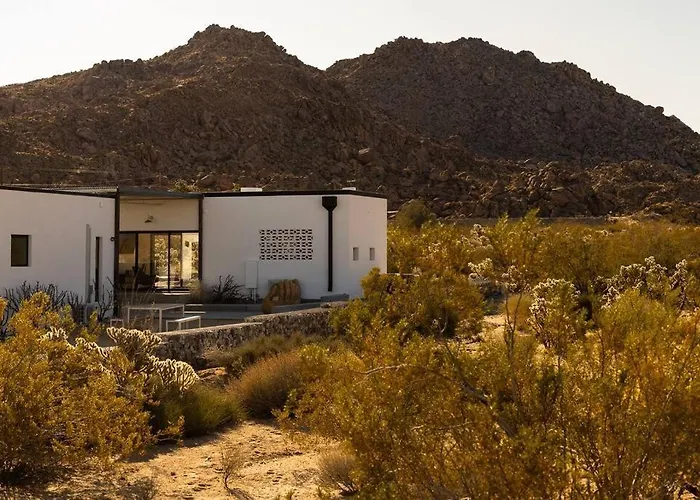 Neutra Home Joshua Tree Luxury Retreat Pool And Spa