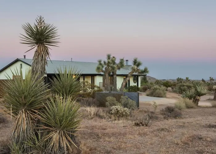 Yucca Hut - Design Forward Oasis Near Joshua Tree